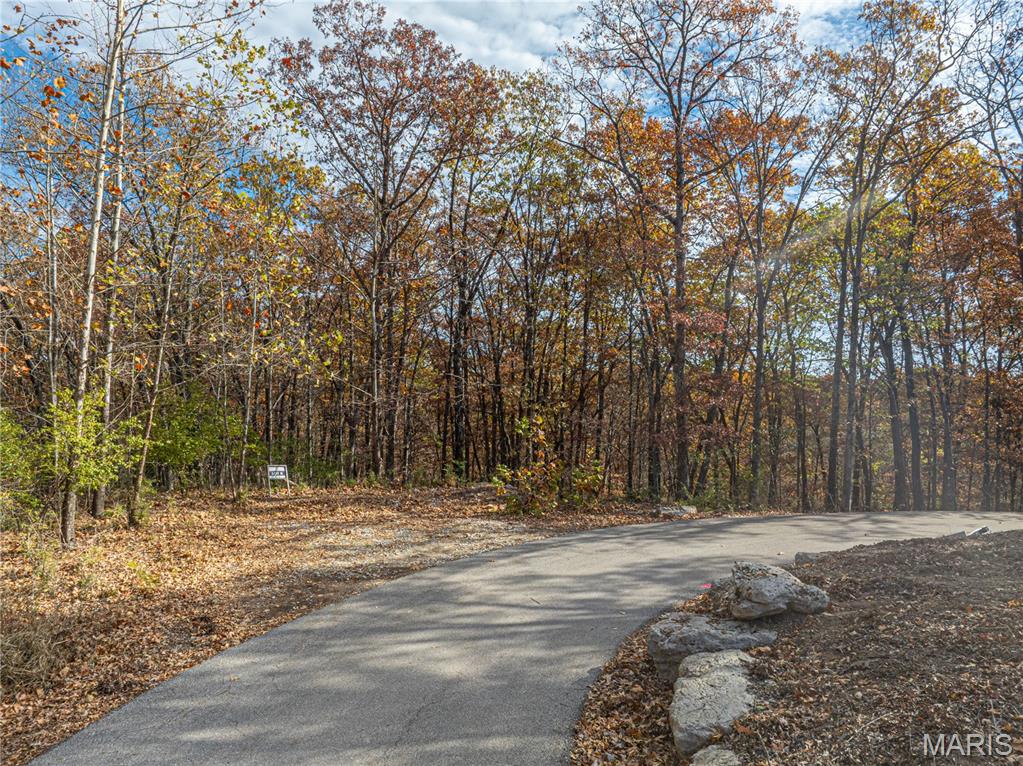 19005 Old Wild Turkey Lane