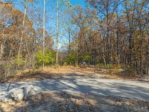 Tiny photo for 19005 Old Wild Turkey Lane, Wildwood, MO 63069 (MLS # 25075384)