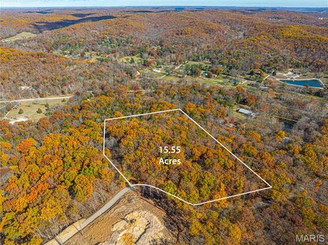 Tiny photo for 19005 Old Wild Turkey Lane, Wildwood, MO 63069 (MLS # 25075384)