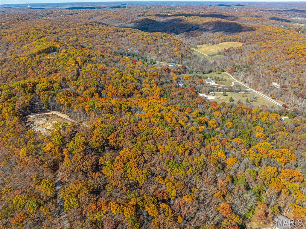 19005 Old Wild Turkey Lane