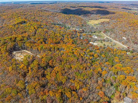 Tiny photo for 19005 Old Wild Turkey Lane, Wildwood, MO 63069 (MLS # 25075384)