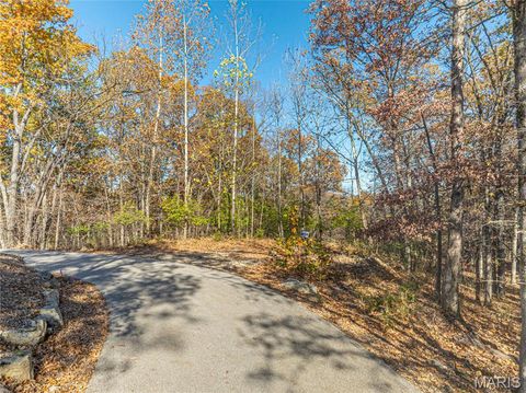 Tiny photo for 19005 Old Wild Turkey Lane, Wildwood, MO 63069 (MLS # 25075384)