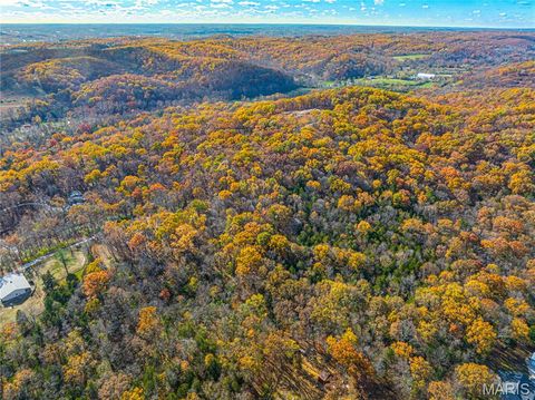 Tiny photo for 19005 Old Wild Turkey Lane, Wildwood, MO 63069 (MLS # 25075384)