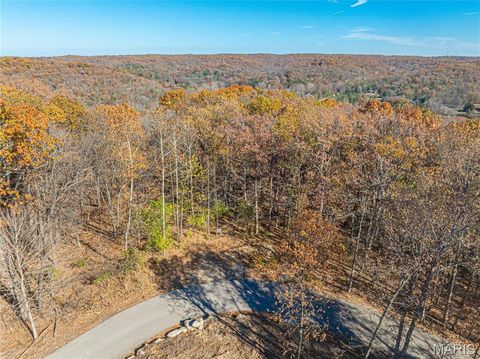 Tiny photo for 19005 Old Wild Turkey Lane, Wildwood, MO 63069 (MLS # 25075384)