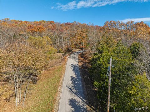 Tiny photo for 19005 Old Wild Turkey Lane, Wildwood, MO 63069 (MLS # 25075384)