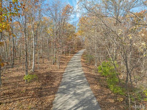 Tiny photo for 19005 Old Wild Turkey Lane, Wildwood, MO 63069 (MLS # 25075384)