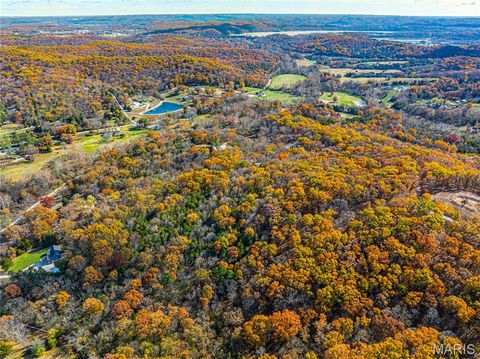 Tiny photo for 19005 Old Wild Turkey Lane, Wildwood, MO 63069 (MLS # 25075384)