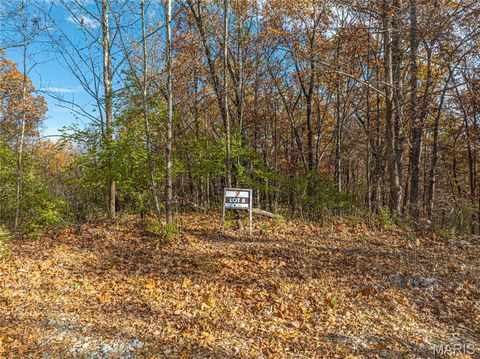 Tiny photo for 19005 Old Wild Turkey Lane, Wildwood, MO 63069 (MLS # 25075384)
