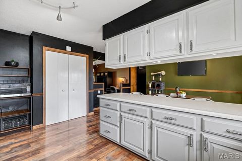 Tiny photo for 2246 E Highway 47, Winfield, MO 63389 (MLS # 26006027)