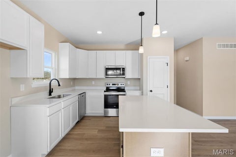 Tiny photo for 173 Hank's Close #173 STB, Washington, MO 63090 (MLS # 26068484)