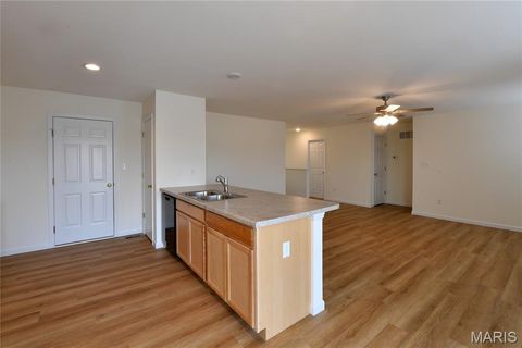 Tiny photo for 601 Fence Row Drive, Wentzville, MO 63385 (MLS # 25079227)