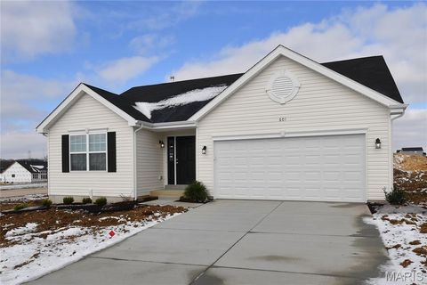 Tiny photo for 601 Fence Row Drive, Wentzville, MO 63385 (MLS # 25079227)