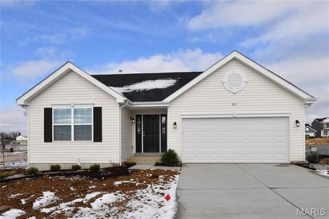 Photo of 601 Fence Row Drive, Wentzville, MO 63385 (MLS # 25079227)