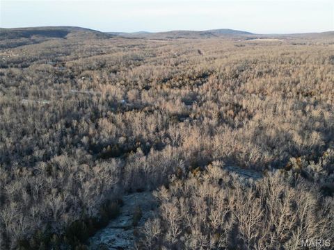 244 Shy Road Ironton MO 63650