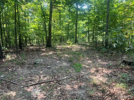 0 COUNTY ROAD 341, PIEDMONT, MO 63957 - Image abe6834e9c3fa74cf970ff214df014ee/2373844896
