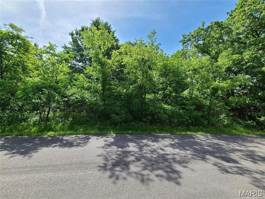 Don't miss out on this opportunity to be a part of the sought-after Raintree Plantation. Community amenities include 4 Lakes including a Beach area, Golf Course, Pool, Club House in this gated community.