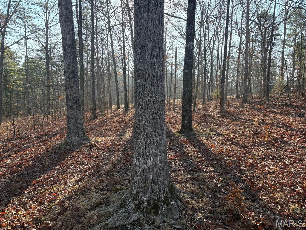 748 Miller Lake Road