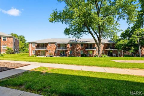 Tiny photo for 3129 Roger Williams Drive #A, Bridgeton, MO 63044 (MLS # 26030546)