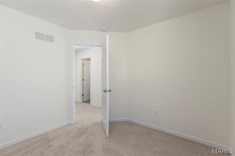 Tiny photo for 548 Edison Way, Wentzville, MO 63385 (MLS # 25069559)