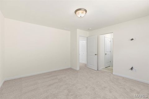 Tiny photo for 548 Edison Way, Wentzville, MO 63385 (MLS # 25069559)