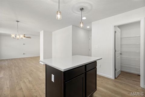 Tiny photo for 548 Edison Way, Wentzville, MO 63385 (MLS # 25069559)