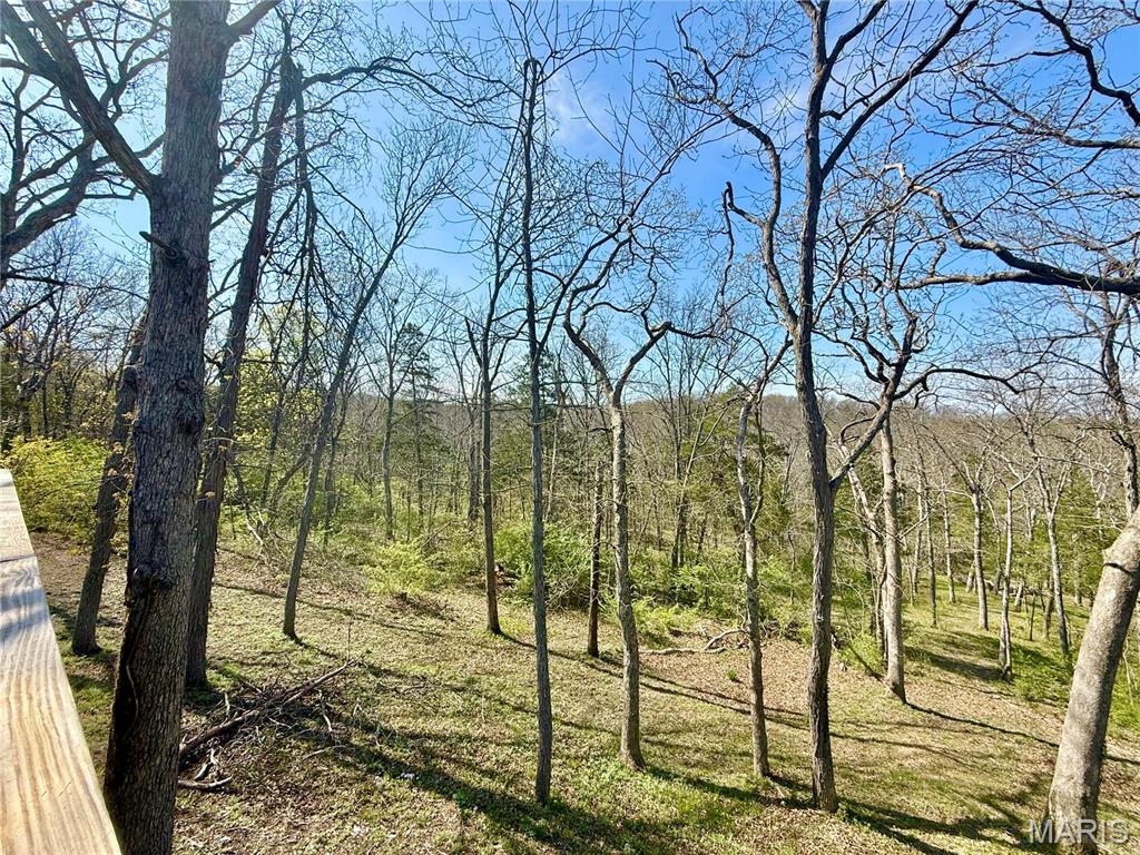 Calvey Forest - Residential