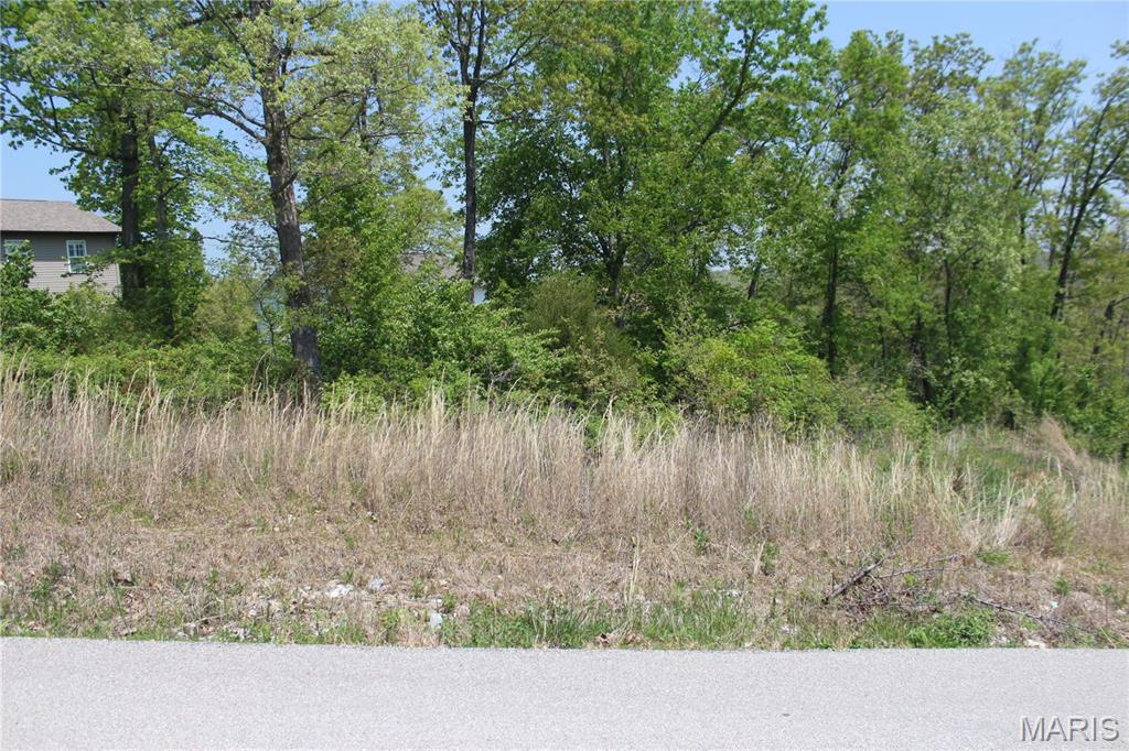 Rocky Point 06 - Land