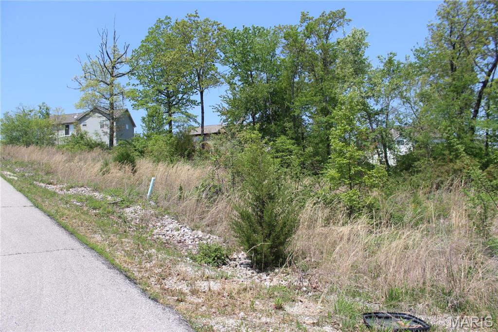 Rocky Point 06 - Land