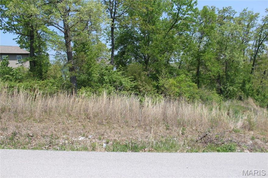 Building lot ready for your new home! Close to Fort Leonard Wood and amenities. Some utilities available. Perfect setting in a desirable area. Additional Rooms: In Platted Subdv.