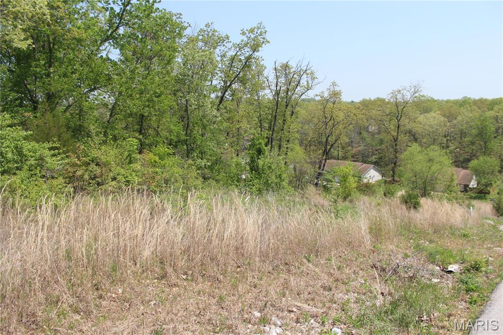 Rocky Point 06 - Land