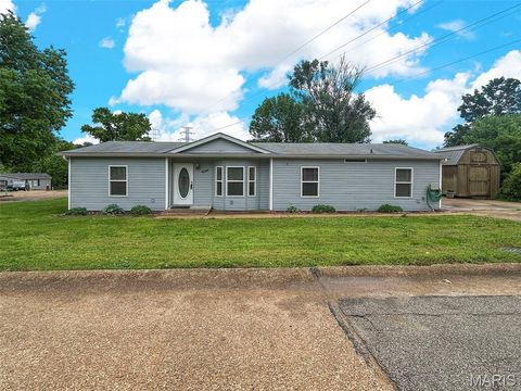 Photo of 4644 White Ash Drive, High Ridge, MO 63049 (MLS # 26032252)