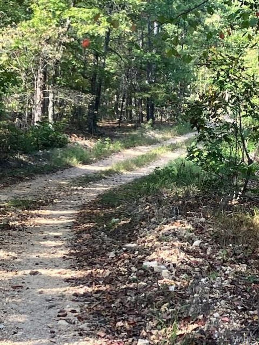 This 23.3 acres with a magnificent Ozarks view includes a deeded access road to the property, and deeded access to a nearby shared spring-fed stream, and sits within about a mile of Mark Twain National Forest. 
This ridgetop oasis comes with NO restrictions, and can be had for less than the price of a new truck or SUV. 
Hunt, camp, build, ride ATVs on your own land, or fish or play in the shared creek section ... endless opportunities.
This property is wooded and rolling. You are within a mile of the 22,176-acre Mark Twain National Forest ... public ground where you can also hunt, ride and explore. All this, and only about 2 miles by road from U.S. 67.
Use this wooded, secluded property as a base camp for adventure or build your forever home and live out your days in secluded bliss. This and surrounding land is teeming with deer, turkey and small game, and the occasional feral hog or maybe a black bear.
There is additional acres available which adjoin this piece if interested.