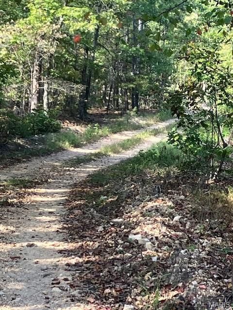 198 Madison CR 410 Fredericktown MO 63645