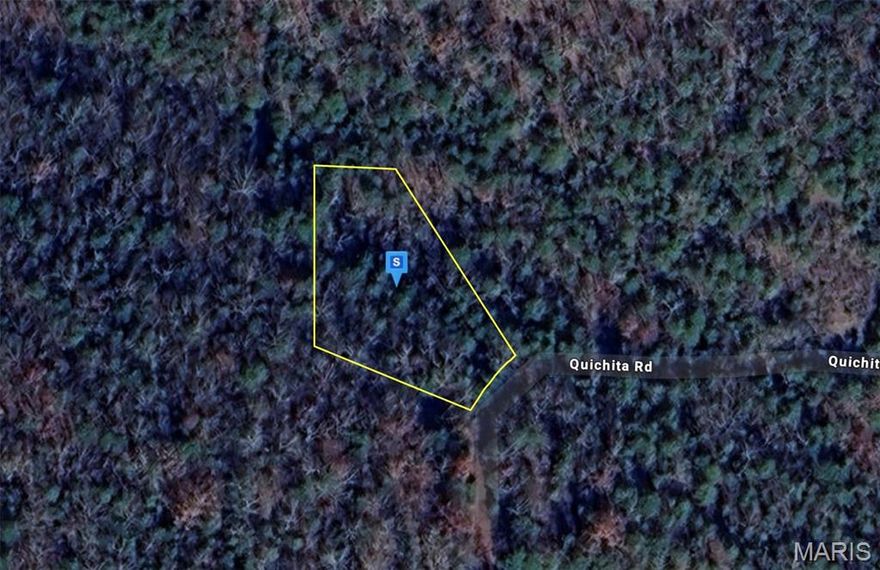 This 0.29-acre vacant lot in the Lake Taneycomo Woods subdivision offers a peaceful wooded setting on a quiet, private road just minutes from downtown Branson. Power and water are available (per seller), and septic is required, giving you a solid start for your future home or getaway. Lake Taneycomo Woods is a quiet lakefront community where residents enjoy access to Lake Taneycomo—perfect for boating, kayaking, and fishing. Located in the Branson School District, this property combines natural beauty, recreation, and convenience in an ideal Ozarks location.