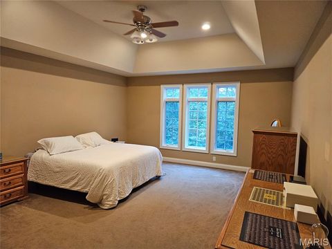 Tiny photo for 18517 Gredan ct Ct, Wildwood, MO 63069 (MLS # 25070583)