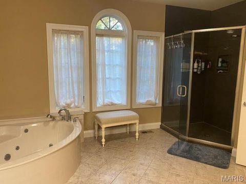 Tiny photo for 18517 Gredan ct Ct, Wildwood, MO 63069 (MLS # 25070583)
