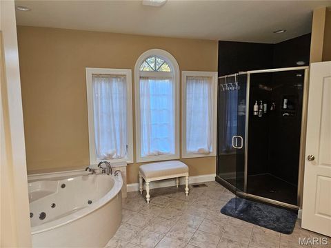 Tiny photo for 18517 Gredan ct Ct, Wildwood, MO 63069 (MLS # 25070583)