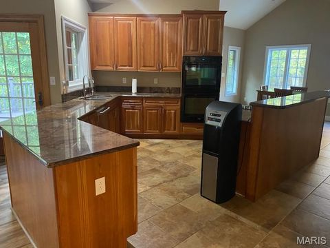 Tiny photo for 18517 Gredan ct Ct, Wildwood, MO 63069 (MLS # 25070583)