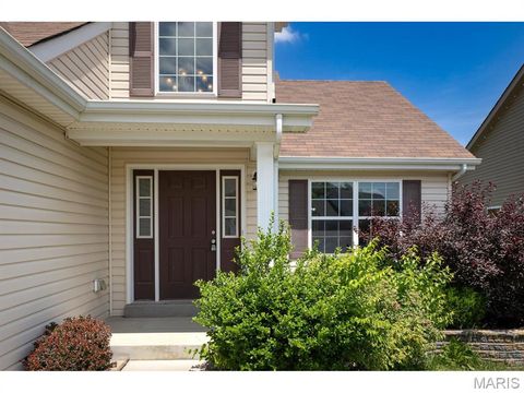 Photo of 255 Winding Bluffs Court, Fenton, MO 63026 (MLS # 26031517)