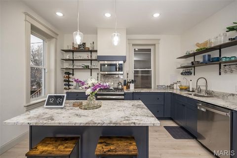 Tiny photo for 2626 Minnesota Avenue, St Louis, MO 63118 (MLS # 25078786)