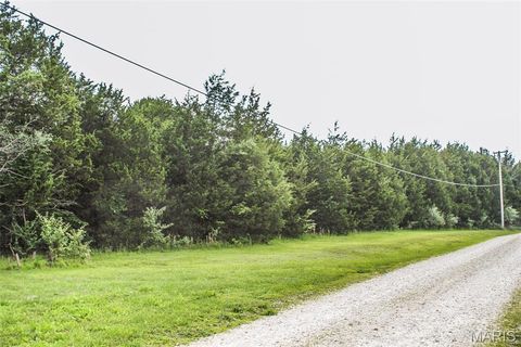 749 Lakeview Drive Leslie MO 63056