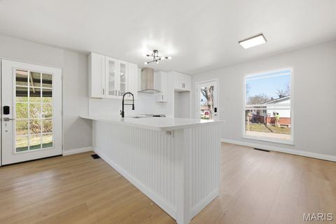 Tiny photo for 3025 Chadwick Drive, Florissant, MO 63033 (MLS # 26019092)