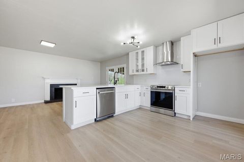 Tiny photo for 3025 Chadwick Drive, Florissant, MO 63033 (MLS # 26019092)