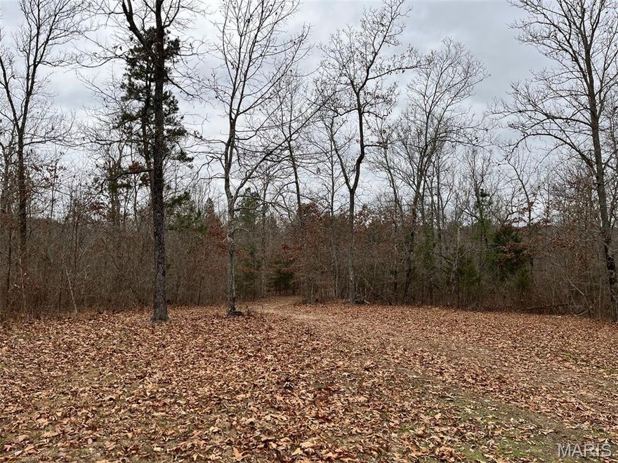 Hunting/Recreational property in Wayne County MO. Property consists of 54.3 +/- wooded acreage. Land has a spring fed pond, food plot area, and two permanent deer stands. A portable building, 12'x38', has been set up that currently runs off of a generator, that will stay. Small kitchen, bedroom, window a/c, electric heater, and a covered front porch are some of the amenities of the building. Plenty of wildlife, close to Brushy Creek, and within 1/2 mile of Mark Twain National Forrest land for additional hunting or recreational endeavors. Own your own piece of land before next hunting season rolls around. Or it could be the perfect spot for your new dream home.