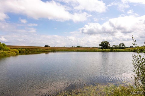 Tiny photo for 00 Golden Avenue, Callao, MO 63534 (MLS # 26061298)
