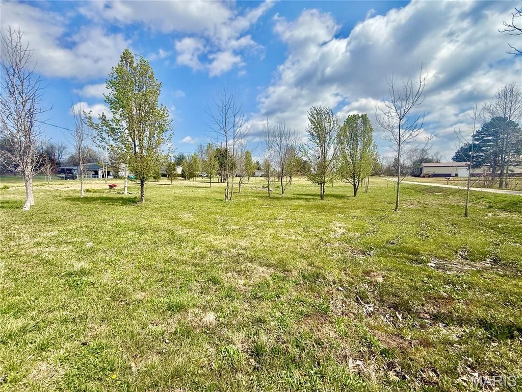 Photo of 0 county road 334, Fredericktown, MO 63645 (MLS # 26019546)