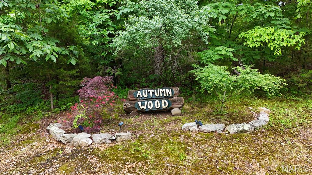 Autumn Wood - Land