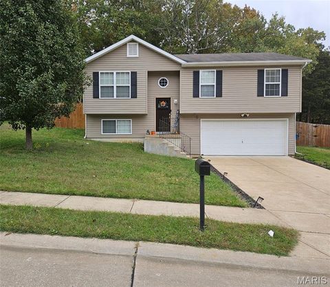 Photo of 5640 Hawks Landing Drive, Hillsboro, MO 63050 (MLS # 25073981)