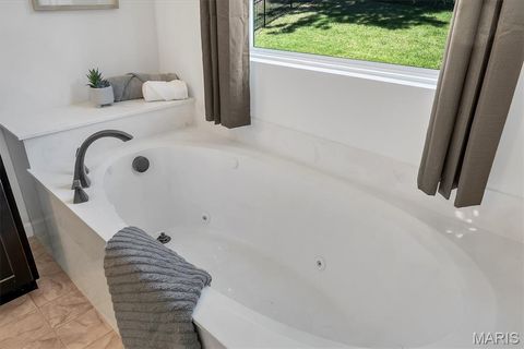 Tiny photo for 532 Leather Reins DR, Wentzville, MO 63385 (MLS # 26030382)