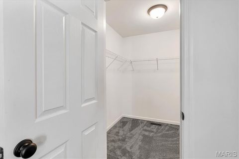 Tiny photo for 532 Leather Reins DR, Wentzville, MO 63385 (MLS # 26030382)
